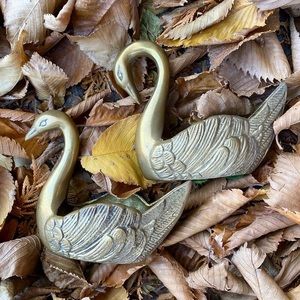 Pair of Brass Swans